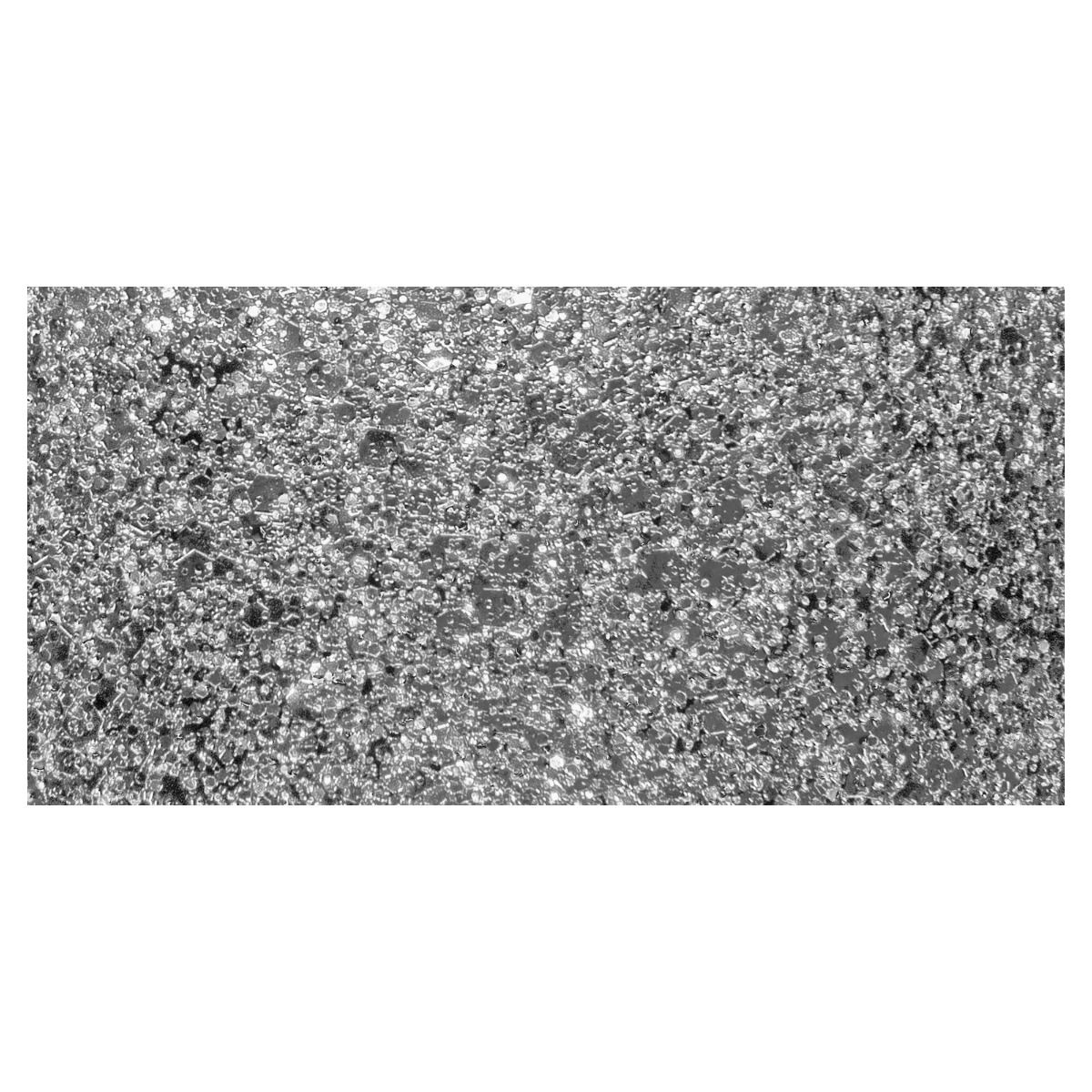 Artistic - Colour Riot - Bling Bling Baby - Swatch - 12 mL