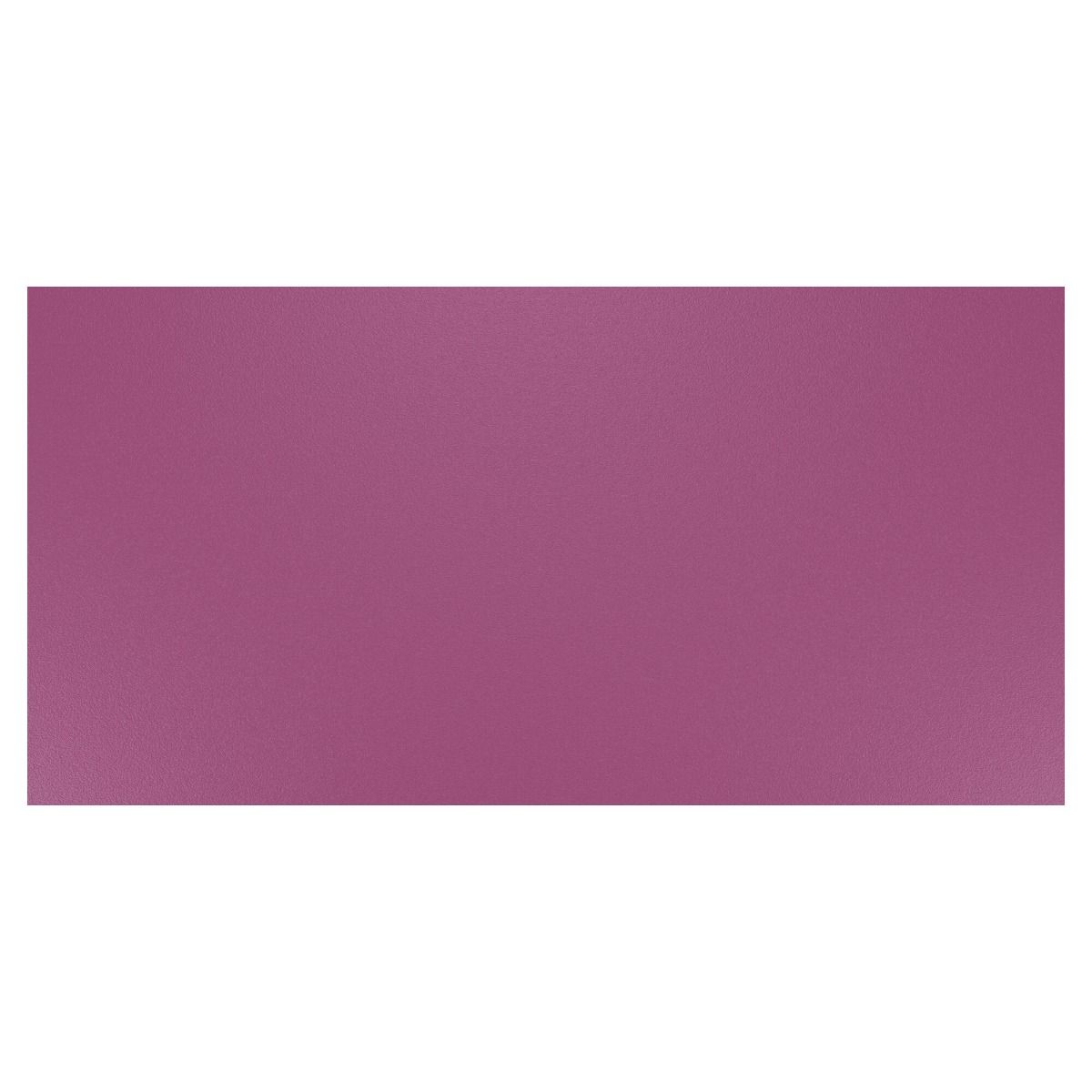 Artistic - Spring 2026 - Desert Eclipse - Cactus Flower Child - Swatch
