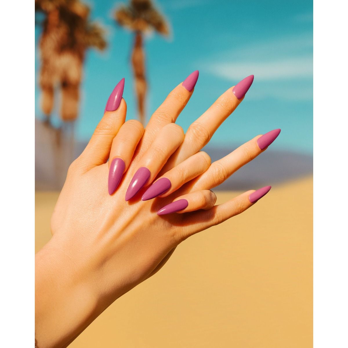 Artistic - Spring 2026 - Desert Eclipse - Cactus Flower Child - Hand Shot